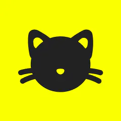 Kitten