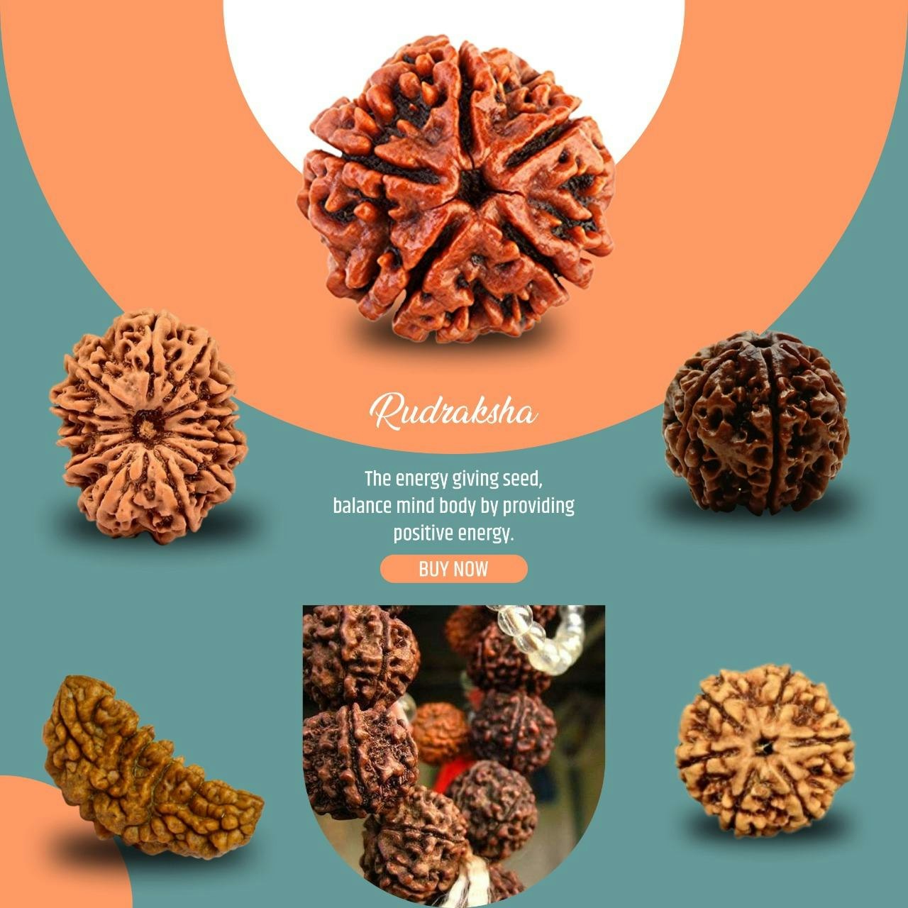 1 Mukhi Rudraksha