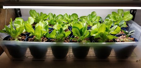 MudPi - Automated Garden System gallery image