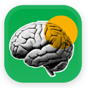 braindump.work
