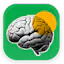 braindump.work