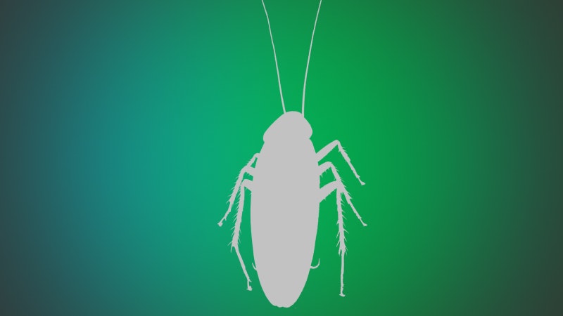 Profilactix.md gallery image