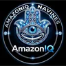 NAVINES AmazonIQ