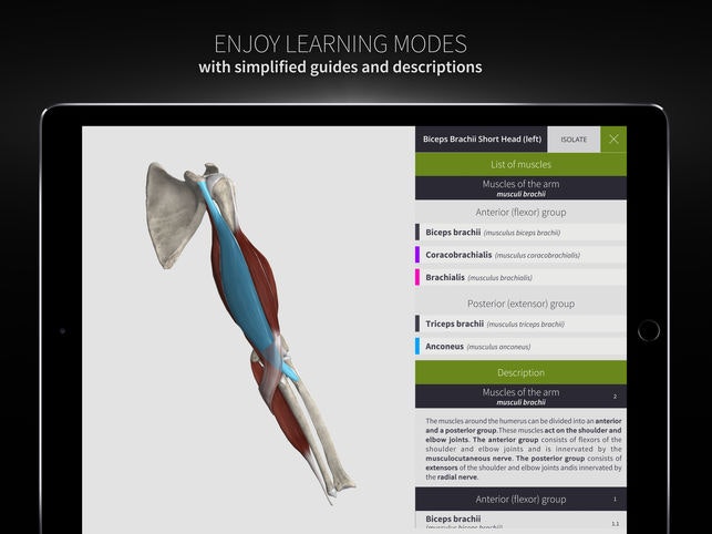 Anatomyka gallery image