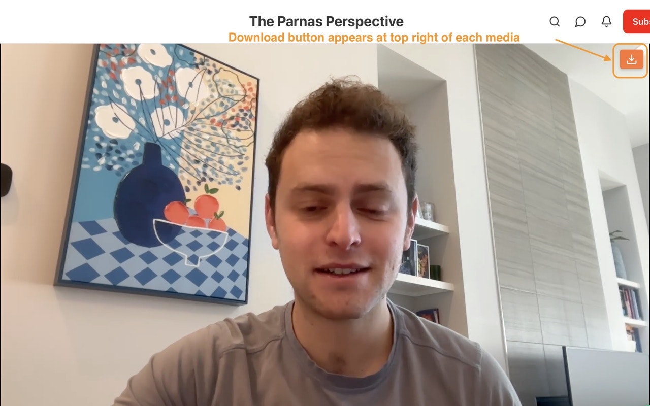 Substack Downloader gallery image