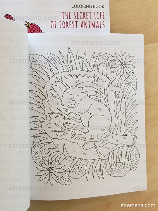 The Secret Life of Forest Animals gallery image