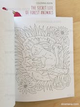 The Secret Life of Forest Animals gallery image