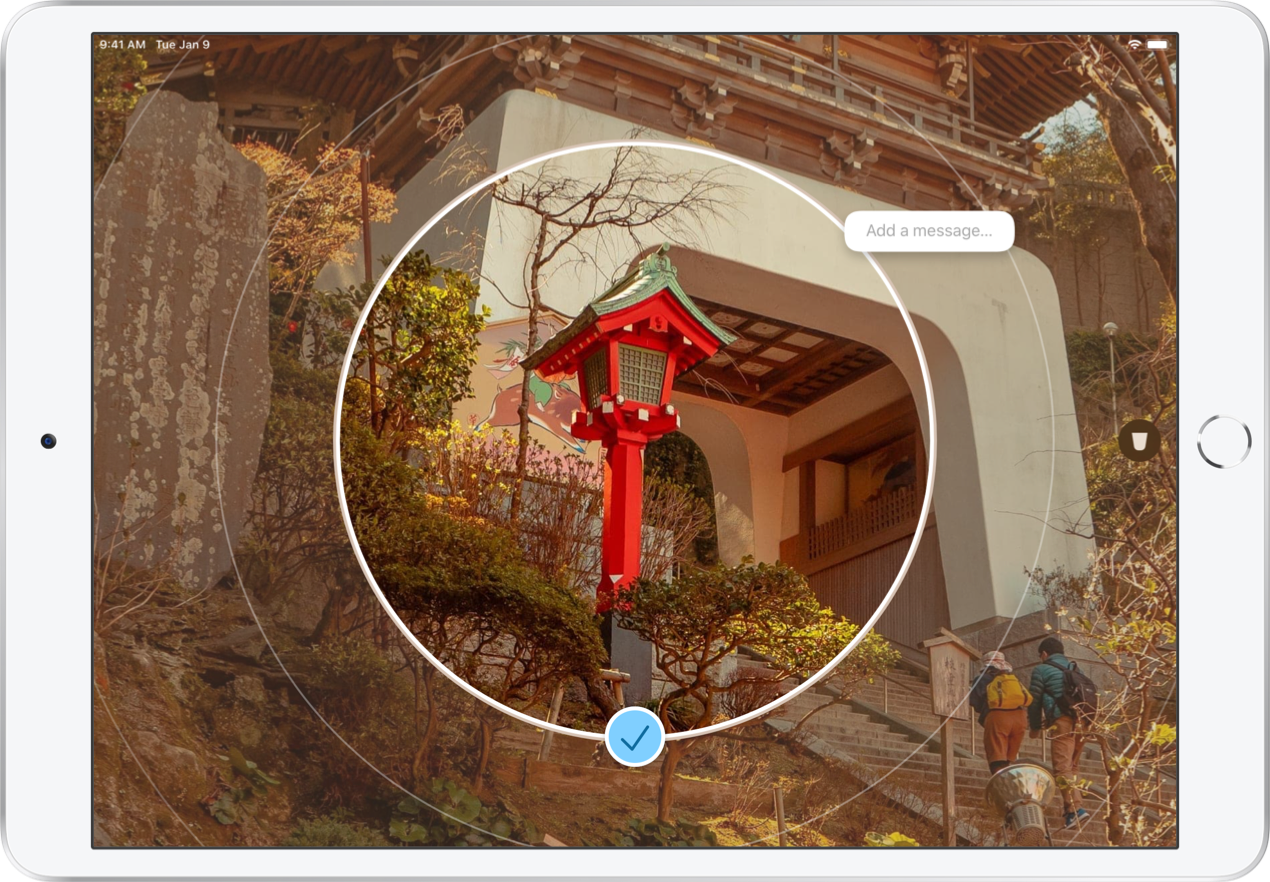 Velvet gallery image