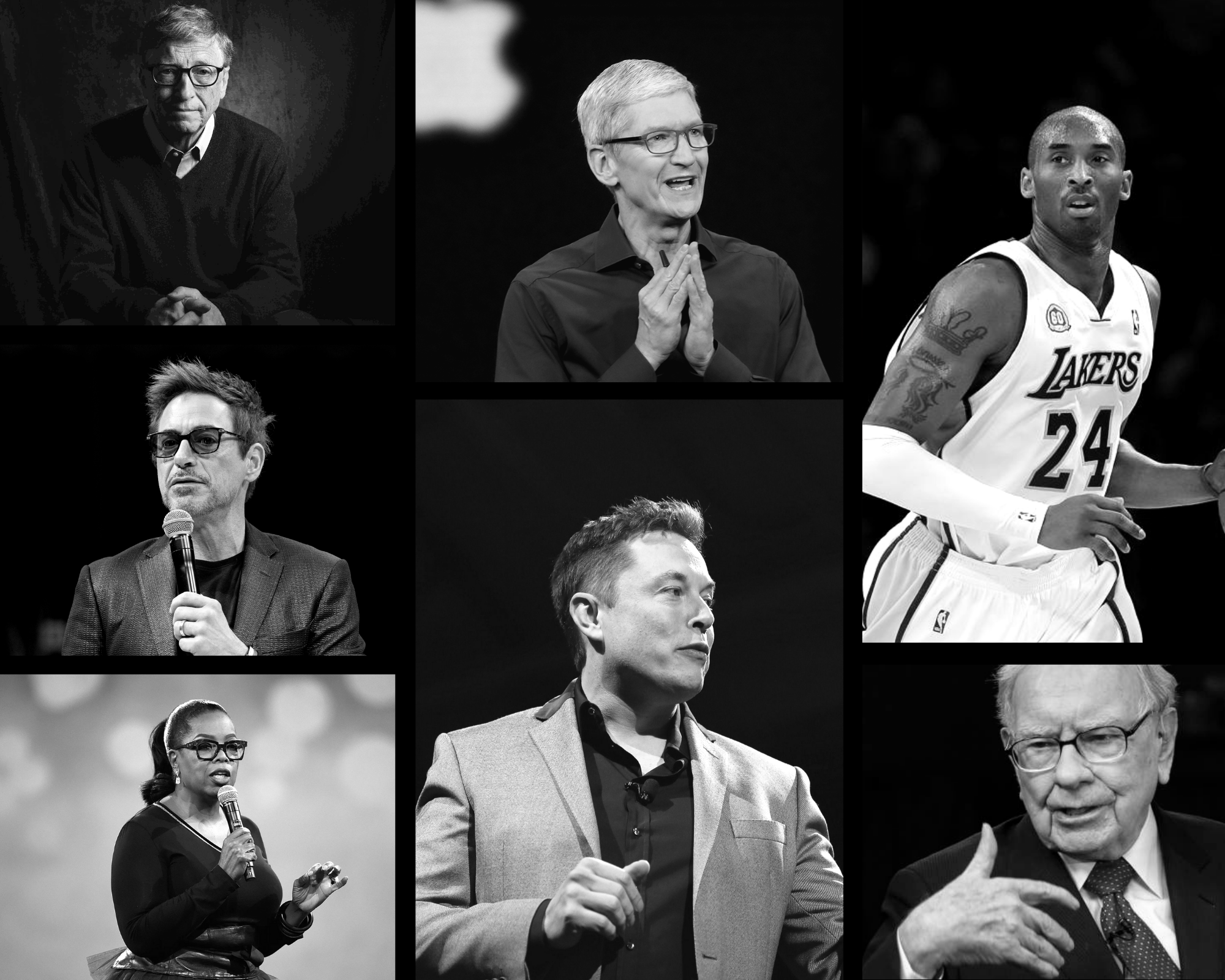 Zealm Newsletter gallery image