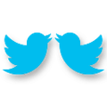 Twitter Interactions