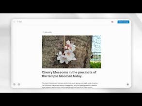 Collections CMS gallery image
