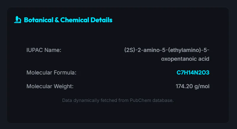 Neuro-Stack screenshot 4