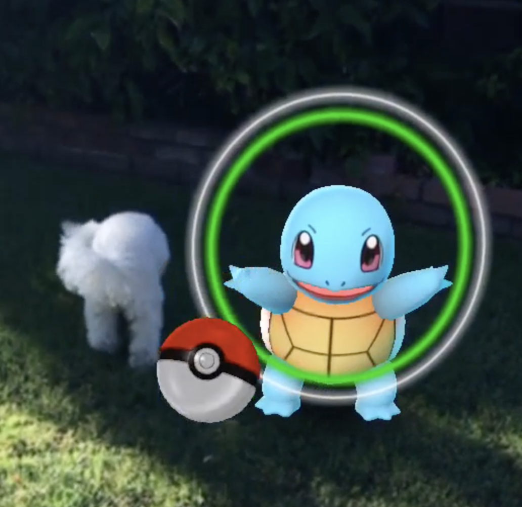 Pokemon GO gallery image