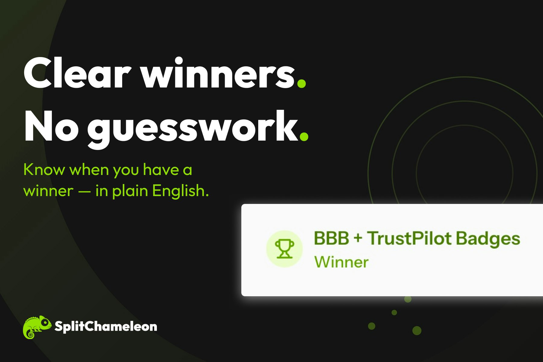 SplitChameleon gallery image