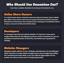 Downtime Cat gallery image