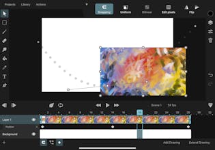 ToonSquid gallery image