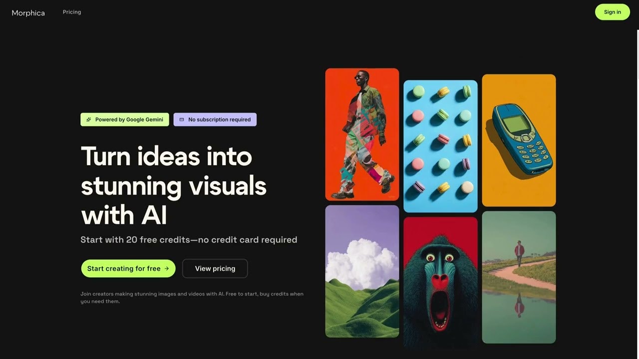 Morphica gallery image