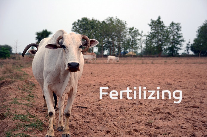 Alterra Pure gallery image