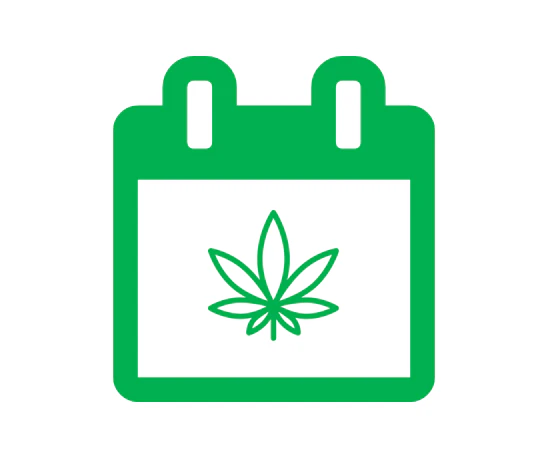 Weed🌱Scene