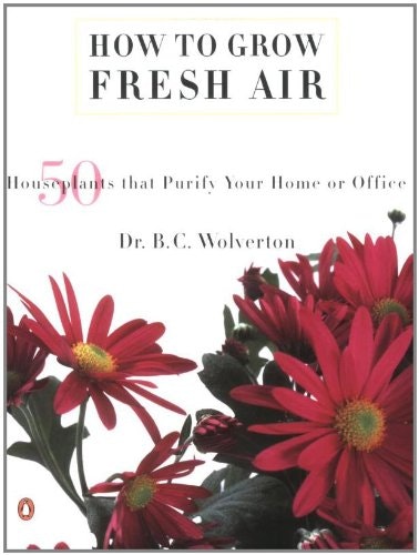 How to Grow Fresh Air