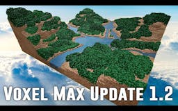Voxel Max media 3