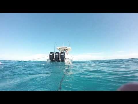 Modif Media gallery image