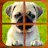 Puppy Puzzle