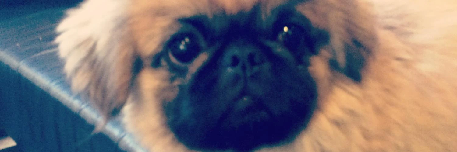 Shashi Fernando cover