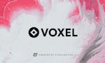 VOXEL  image