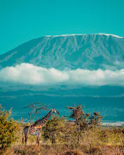 Africantrust Safari gallery image
