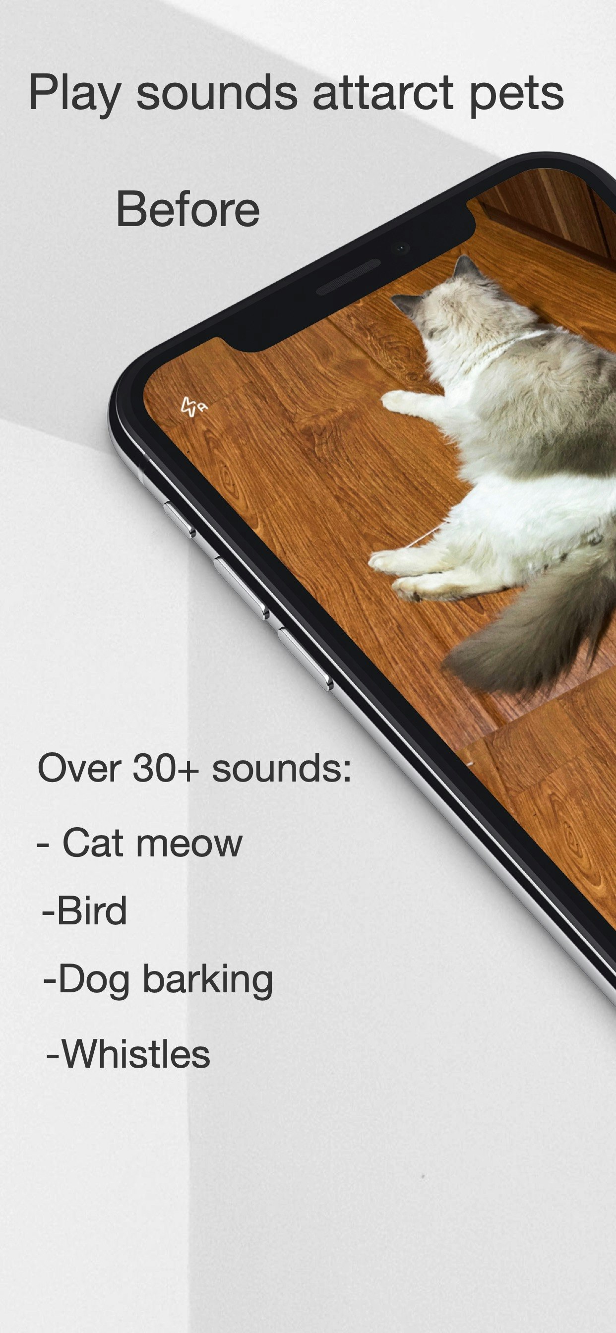 MeowCam-Play sound attract pet attention gallery image