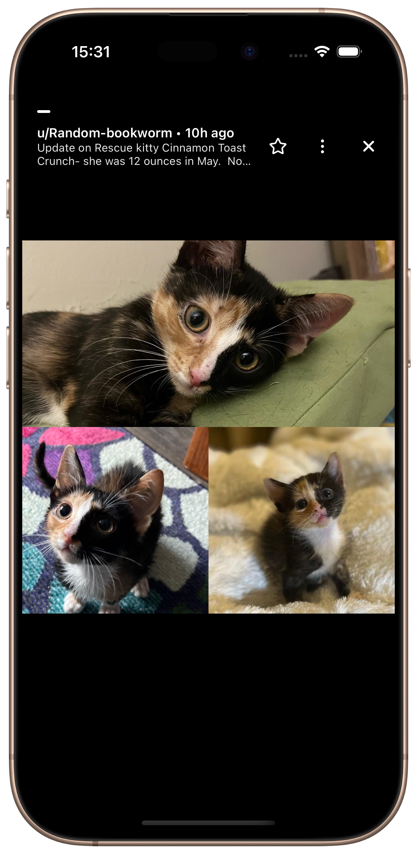 SubStory gallery image