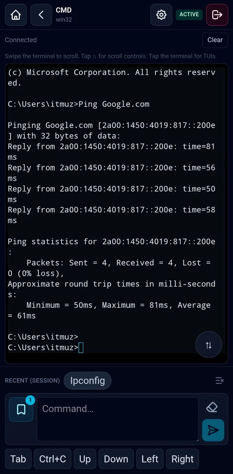 Remote Terminal screenshot