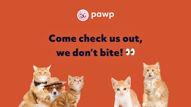 Pawp gallery image