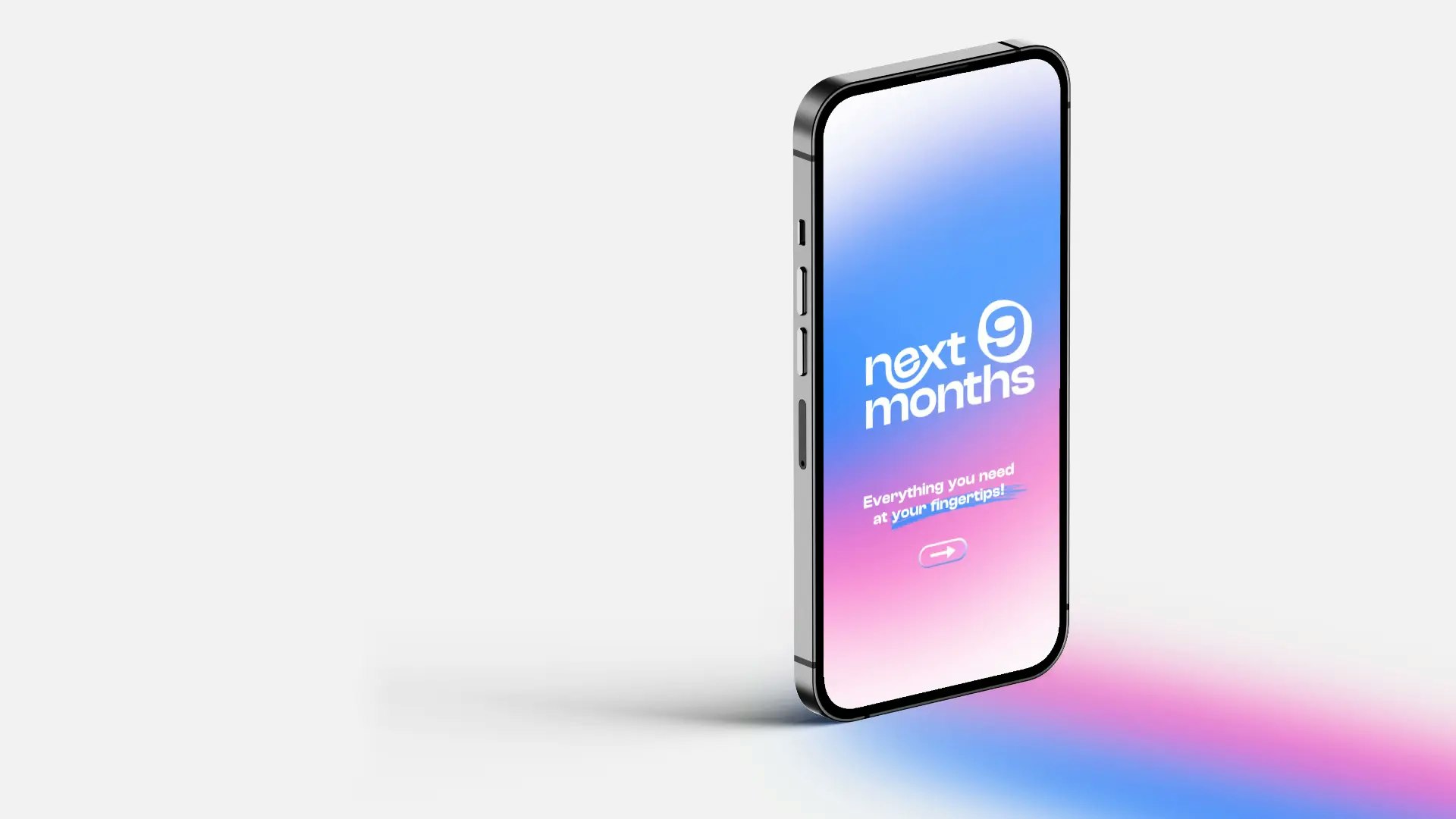 Next 9 Months - Main product screenshot demonstrating key features and user interface