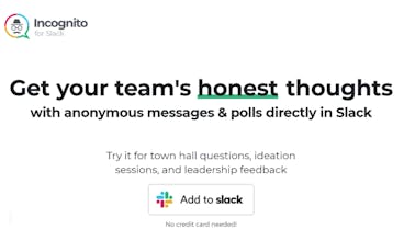 Incognito for Slack gallery image