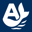 Fishtail logo