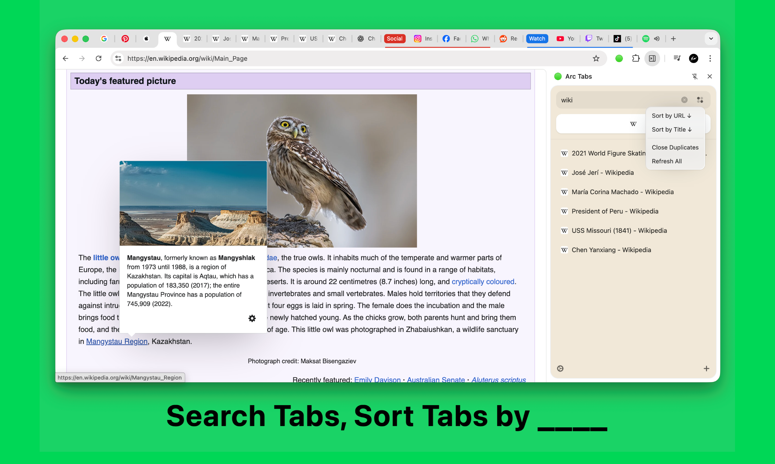 Arc Tabs - Chrome Vertical Tabs for You gallery image