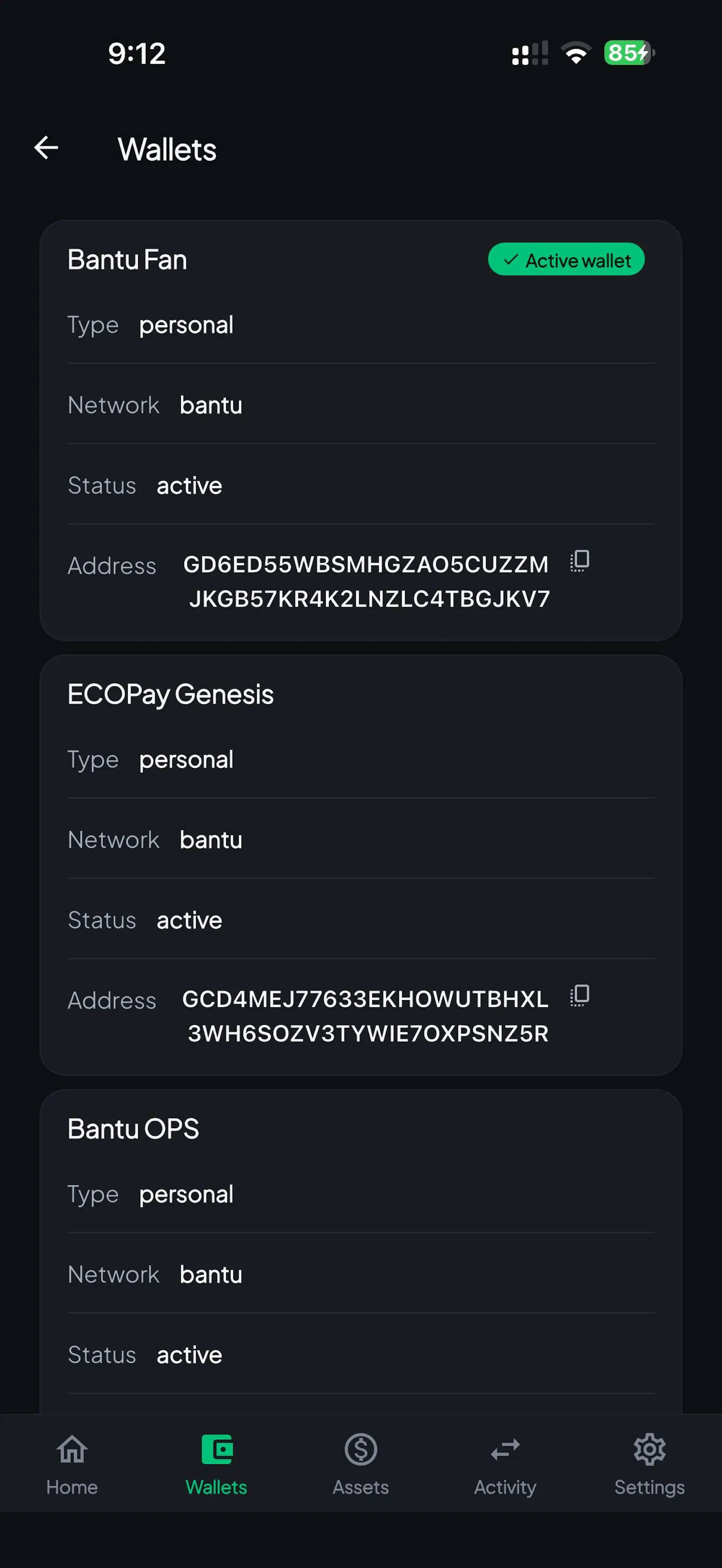 ECOPay Self-Custody Wallet screenshot 10