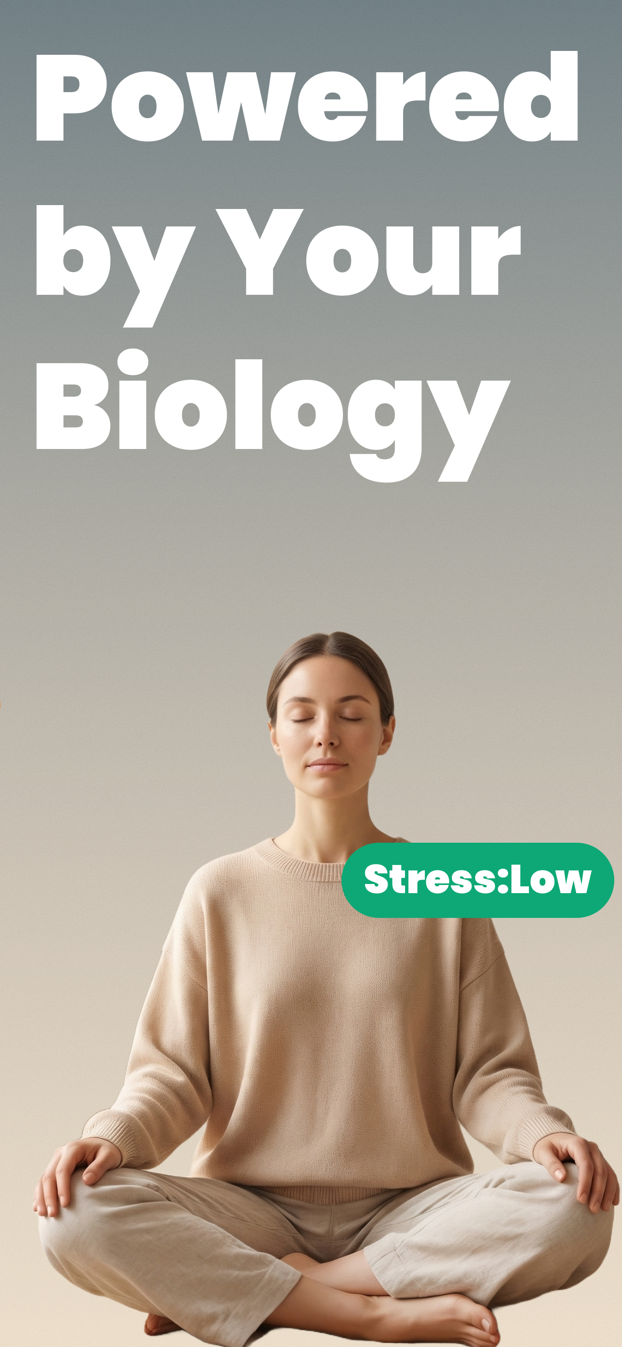 Coach Ultra: Stress & Burnout gallery image