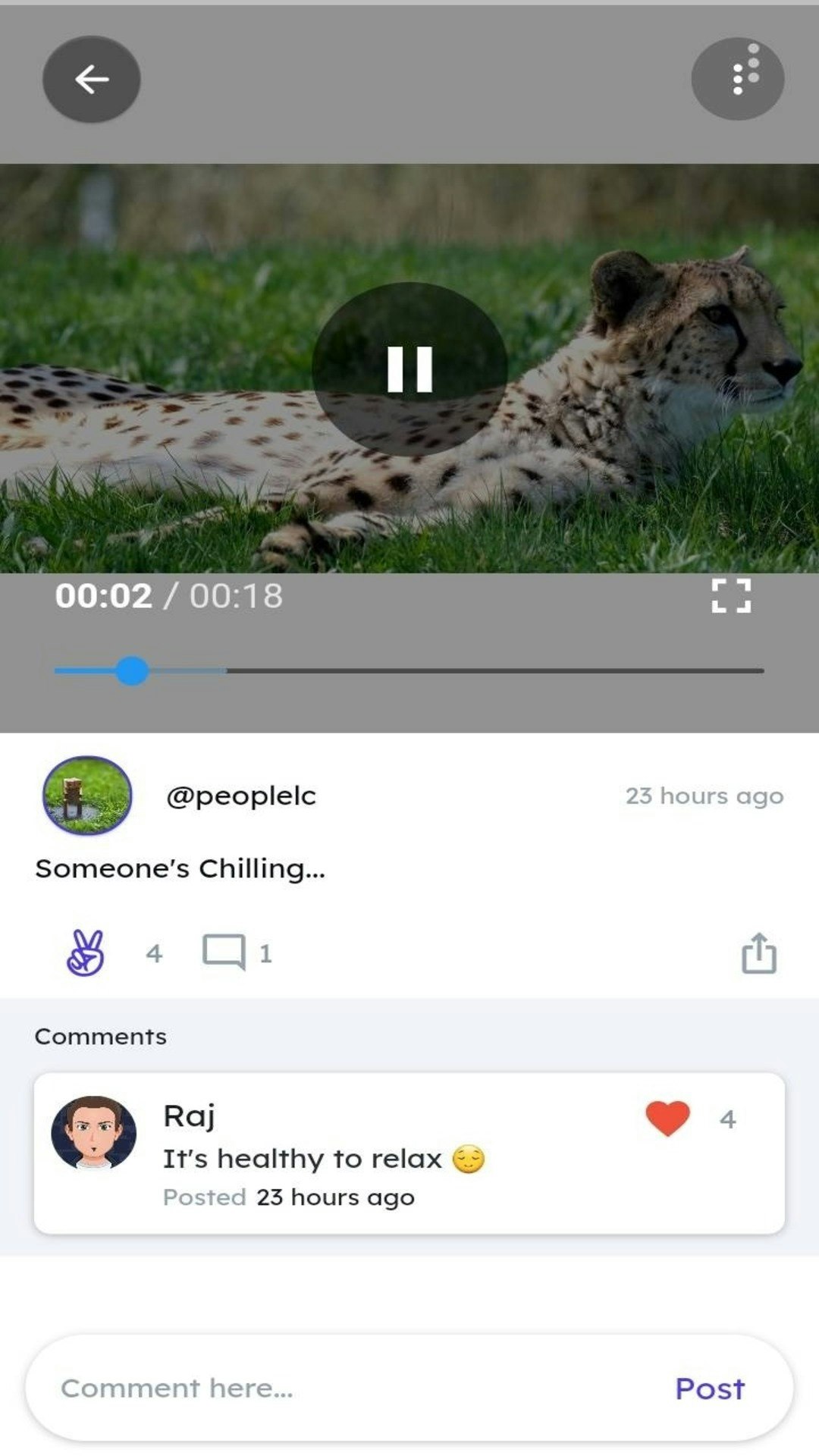 Ziggle media 6
