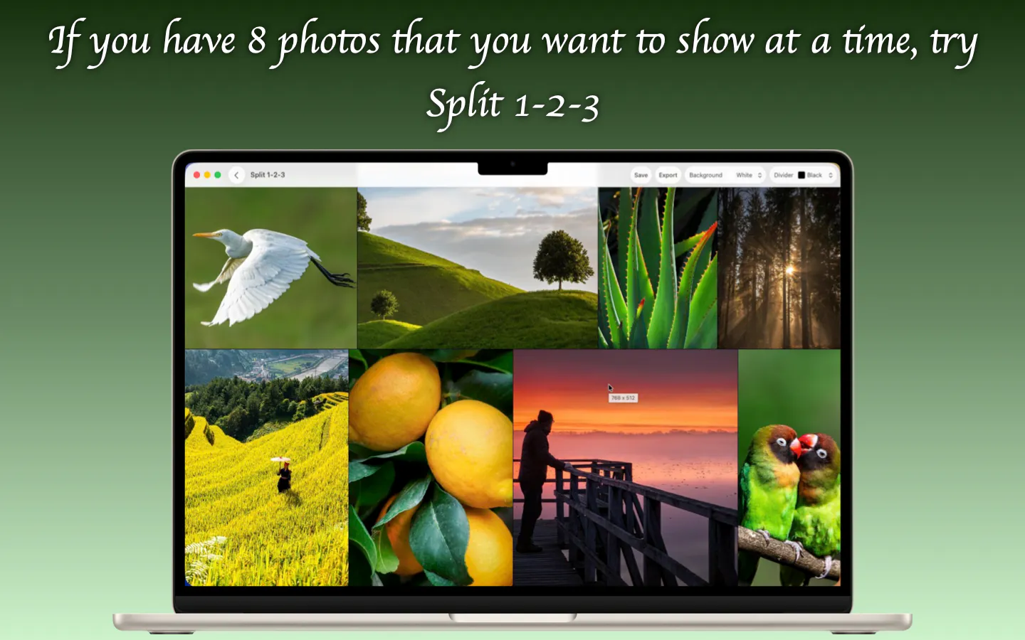 Split 1-2-3 gallery image