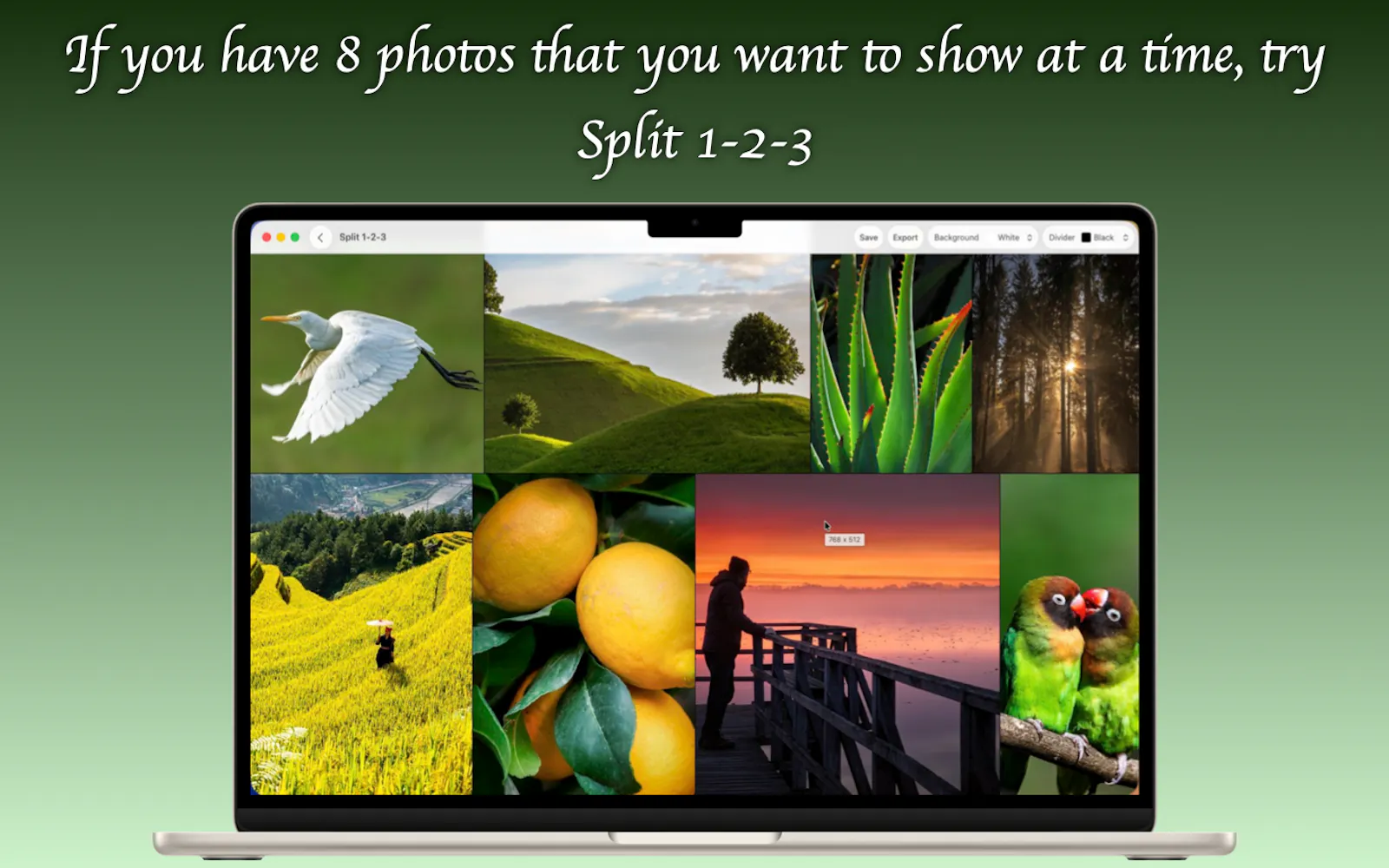 Split 1-2-3 screenshot 3