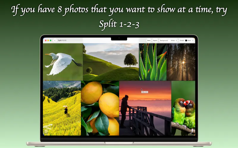 Split 1-2-3 screenshot 3