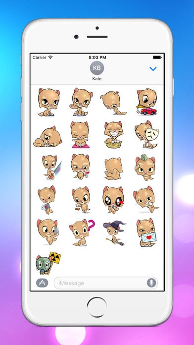 Bella the cat gallery image