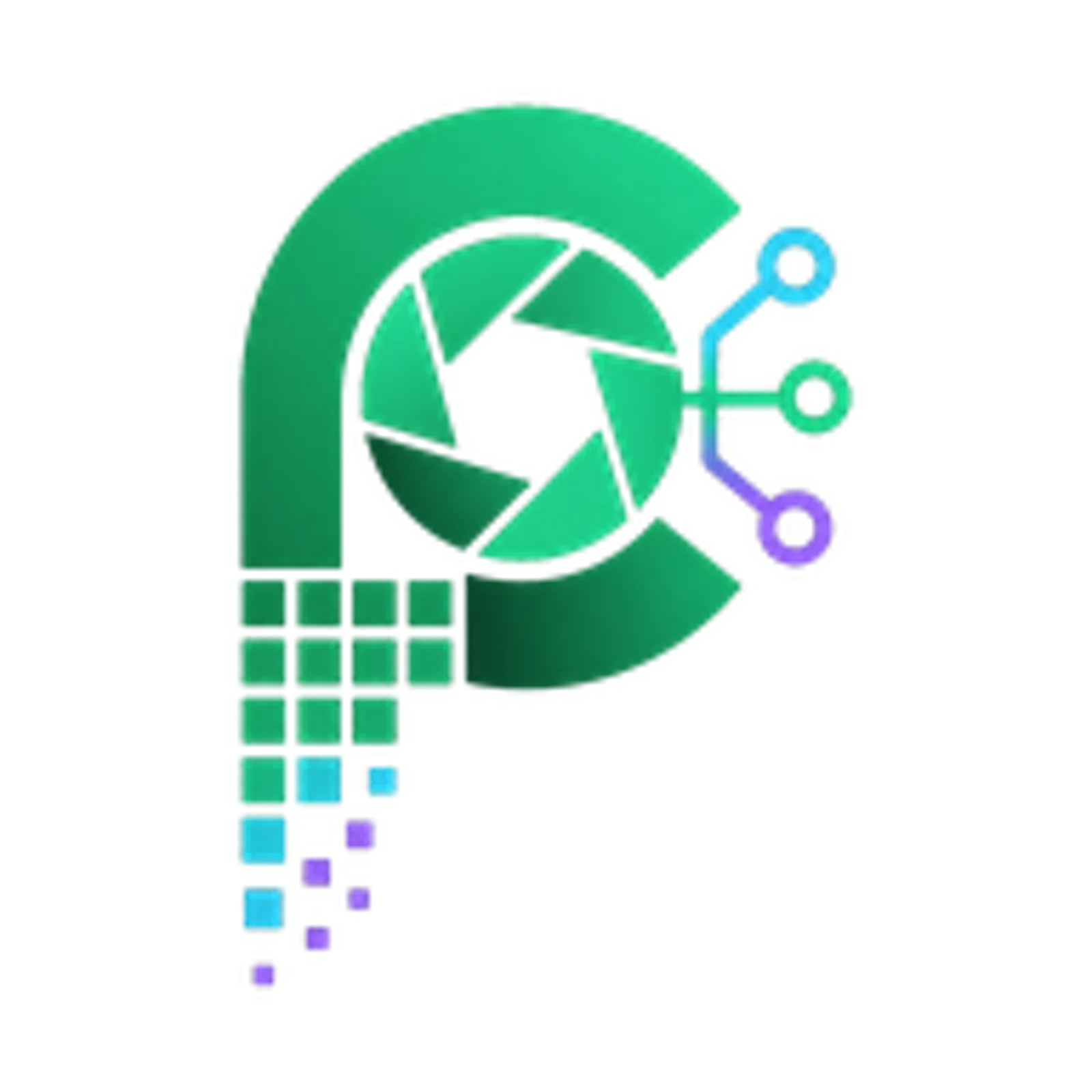 Pixapi screenshot 2