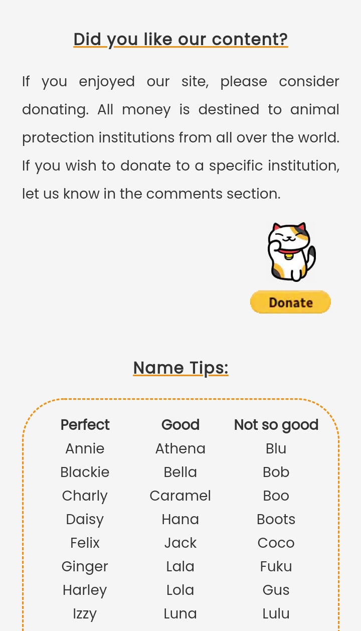 How Good Is My Cat's Name gallery image