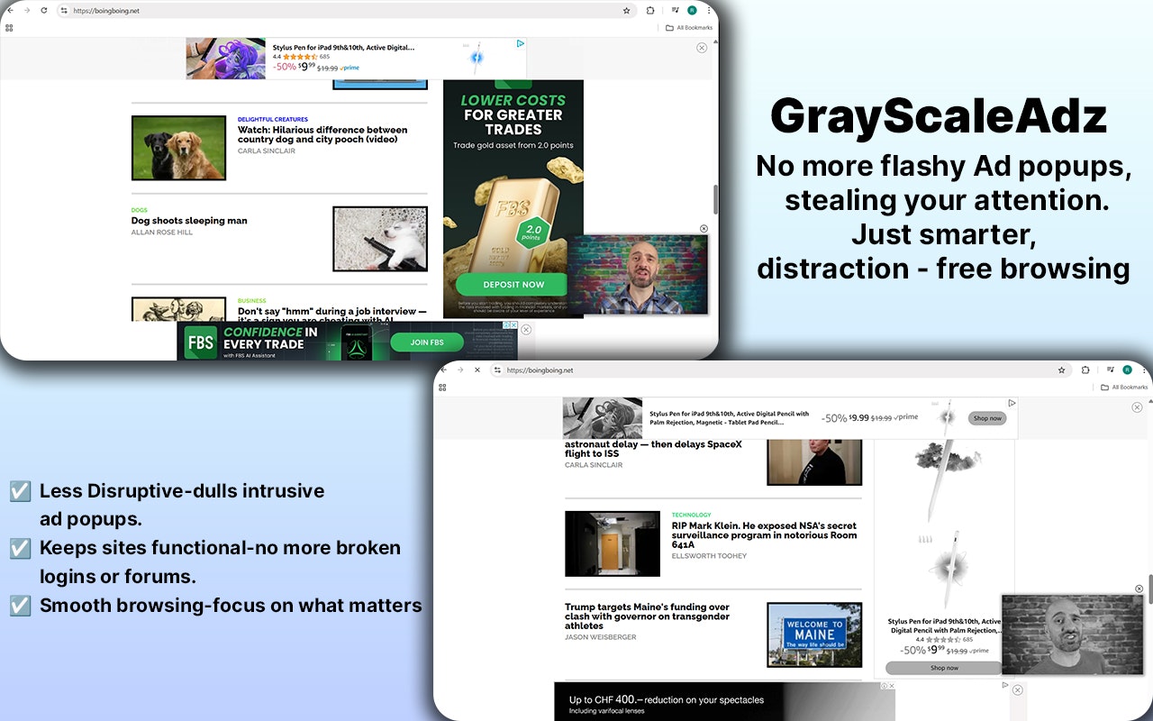 Média Grayscaleadz - Transformez les annonces colorées en noir et blanc |extension chromée 1