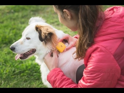 Findster Duo gallery image