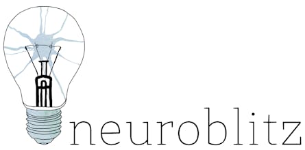 Neuroblitz gallery image